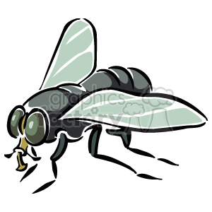 The clipart image depicts a stylized cartoon of a common housefly. The fly is shown in profile with large, prominent eyes, translucent wings, and segmented body typical of flies.