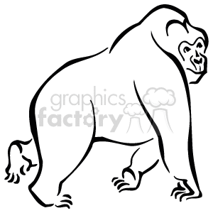 A black and white drawing of a gorilla