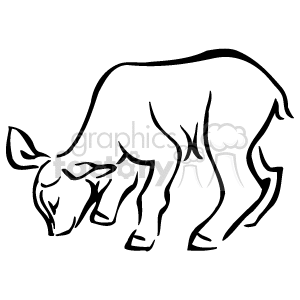This clipart image depicts a line drawing of a calf - in particular a deer calf. 