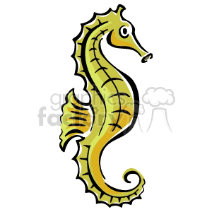 Seahorse