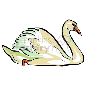 Cartoon Swan Illustration - Graceful Bird