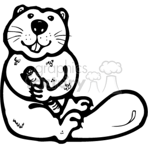 The clipart image depicts a black and white drawing of a beaver, an animal commonly found in North America. The beaver is shown in a country style with a brown body and a lighter shade on its stomach. It appears to be standing on its hind legs with its front paws positioned as if holding something. The illustration is done in a simple, cartoon-like style.
