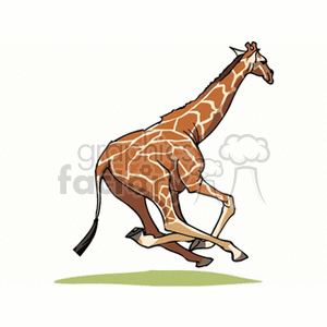 Running giraffe 