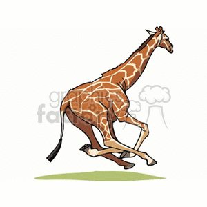 The image is a clipart illustration featuring a giraffe. The giraffe appears to be in motion, possibly running. The style is cartoonish, and the giraffe is the sole focus on a clear background. There is no indication of a jungle or other animals in this particular image.