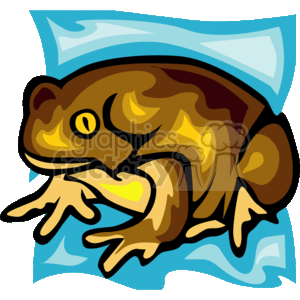 Large bullfrog with yellow eyes