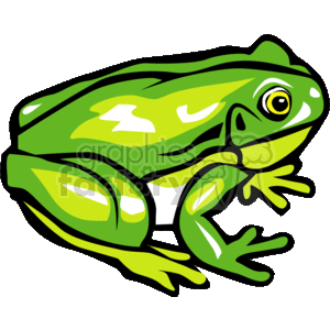 The clipart image shows a green tree frog sitting. The tree frog is an amphibian, and the picture accurately represents its natural habitat.
