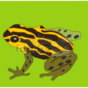 Frog with yellow skin and black stripes