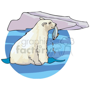 Polar bear fishing in the water