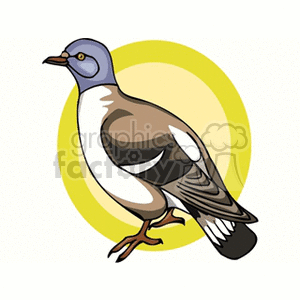 The image is a clipart illustration of a pigeon. It features a side profile of the pigeon against a simple background with a yellow circle, highlighting the bird.