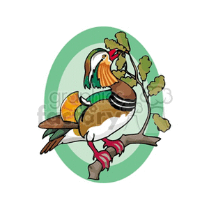 Clipart illustration of a colorful bird perched on a branch with an oval green background.