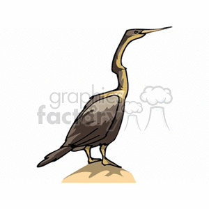 Brown crane standing on a rock