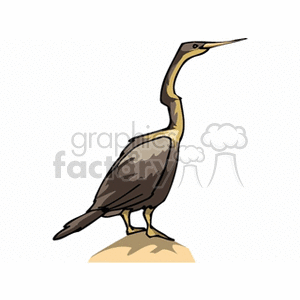 Clipart image of a cormorant bird standing on a rock, depicted in shades of brown and beige with a distinctive long neck and beak.