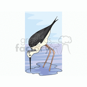 Clipart illustration of a long-legged bird standing in water, dipping its beak into the water while looking for food.
