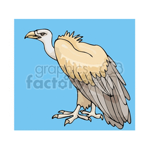 A detailed clipart image of a vulture with light brown and gray feathers against a blue background.