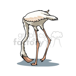 A humorous clipart image of a headless flamingo standing on one leg.