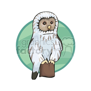A clipart illustration of an owl perched on a branch with a green circular background.