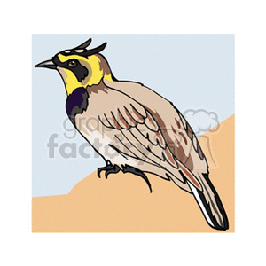 Clipart image of a horned lark bird perched on a light brown surface, with a light blue background. The bird has distinctive yellow and black markings on its head and brown feathers on its body.