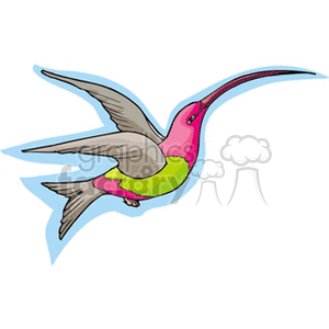 Cartoon illustration of a colorful hummingbird in flight with shades of pink, green, and gray.