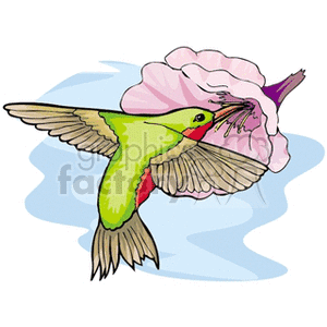 A colorful clipart image of a hummingbird feeding from a pink flower.
