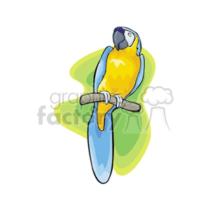 A colorful parrot perched on a branch. The parrot has yellow and blue feathers and is set against a green and yellow abstract background.