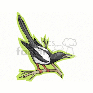 Colorful clipart of a magpie perched on a tree branch.