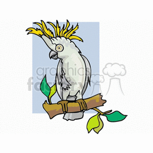 A colorful cartoon illustration of a cockatoo bird perched on a branch with green leaves.