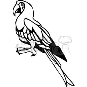 A black and white clipart image of a parrot with distinct outlines.