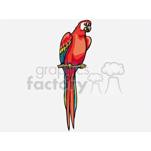 A vibrant clipart image of a red parrot with colorful feathers perched on a branch.