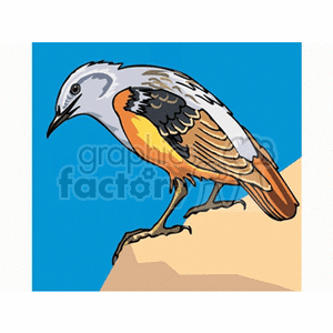 A clipart image of a bird with colorful plumage perched on a rock with a blue sky background.