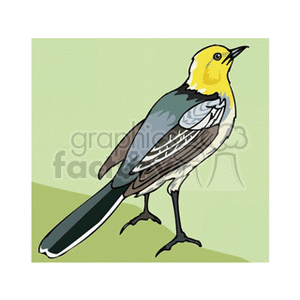 Clipart image of a bird with yellow head and greenish-blue feathers perched against a green background.