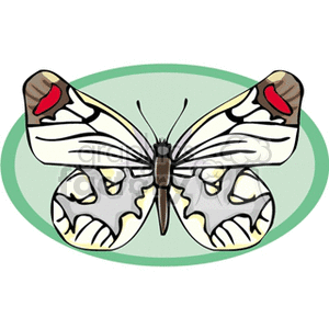 The clipart image depicts a stylized illustration of a butterfly. The butterfly has large wings with a white background adorned with black markings and splashes of yellow, and red spots near the tips of its upper wings. The butterfly is centered on a pale green oval, suggesting it may be resting or in flight against a simple backdrop.