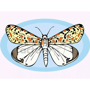 The clipart image features a stylized illustration of a butterfly with its wings spread open. The butterfly has a pattern of dots and patches in various colors on its wings, mainly shades of yellow, orange, and black, against a white background with a powder blue oval outline.
