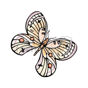 Butterfly with orange circle and cream colored wings