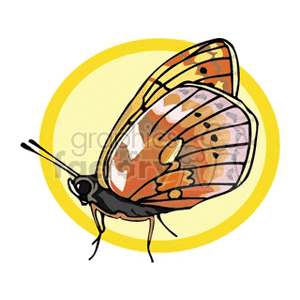 This clipart image depicts a stylized butterfly with a patterned orange and black wings, set against a yellow circular background.