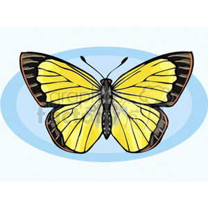 This clipart image features a graphical representation of a yellow and black butterfly with its wings spread, against a light blue oval backdrop.