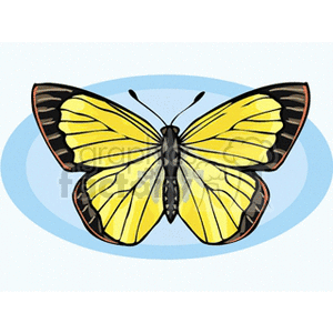 Yellow and black butterfly clip art