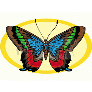This is a clipart image of a colorful butterfly with its wings spread, displaying a pattern that includes shades of blue, red, green, and black, centered on a yellow oval background.