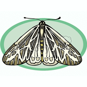 The clipart image depicts a moth with patterns on its wings, resting with its wings spread out. The moth displays characteristic features like a robust body and feathery antennae which can help distinguish it from butterflies. The background has a simple, abstract green oval shape, emphasizing the moth.