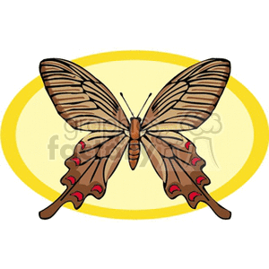 The clipart image shows a single butterfly with its wings spread open. The wings have a detailed pattern with what appear to be stripes and spots of red with black edges. The background is a simple yellow oval outline, providing a contrast that highlights the butterfly.