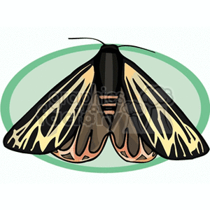 The image is a clipart illustration of a butterfly with its wings spread. The wings have black, white, and shades of brown with a pattern that resembles stripes and spots.
