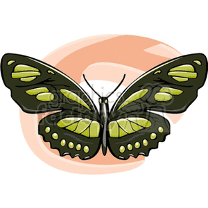 This clipart image features a stylized representation of a butterfly. The butterfly has predominantly black wings with shades of greenish-yellow spots and markings, and it appears to be perched with wings spread wide open. The background is abstract with a soft, circular peach-colored hue, possibly suggesting the sun or a flower.