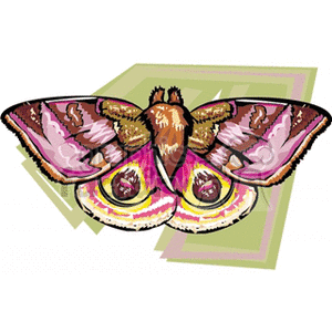 The image shows a colorful clipart of a butterfly with its wings spread open. The butterfly's wings have shades of pink, purple, and yellow, with eye-like patterns on the lower wings.