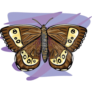 The image shows a single butterfly with brown wings that have eye-like patterns on them. The wings are spread out, and the butterfly seems to be in a resting position. There is a purple and light blue abstract design in the background, possibly suggesting motion or just serving as a decorative element.