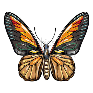 The image shows a colorful clipart illustration of a butterfly with its wings spread. The butterfly has a variety of colors on its wings, including black, orange, brown, and hints of yellow and white.