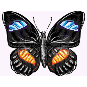 Blue orange and black winged butterfly design