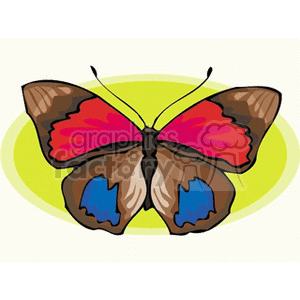The clipart image features a stylized butterfly with a combination of brown, red, and blue on its wings. It's set against a yellow-green elliptical backdrop.