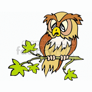 A clipart image of a cartoon owl perched on a tree branch with some green leaves.