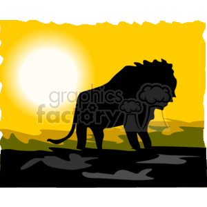 Silhouette of a male lion