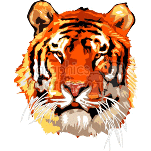This is a clipart image of a tiger's face, featuring its stripes, whiskers, and intense gaze. The image captures the essence of the animal commonly associated with power, ferocity, and natural beauty.