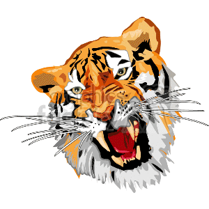 The clipart image shows a furious-looking tiger with sharp teeth bared, snarling aggressively.
